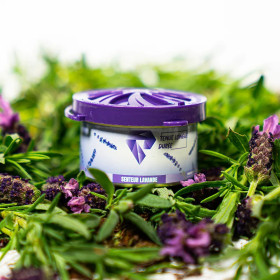 DÉSODORISANT SHINE SENTEUR LAVANDE DÉSODORISANT SHINE SENTEUR LAVANDE